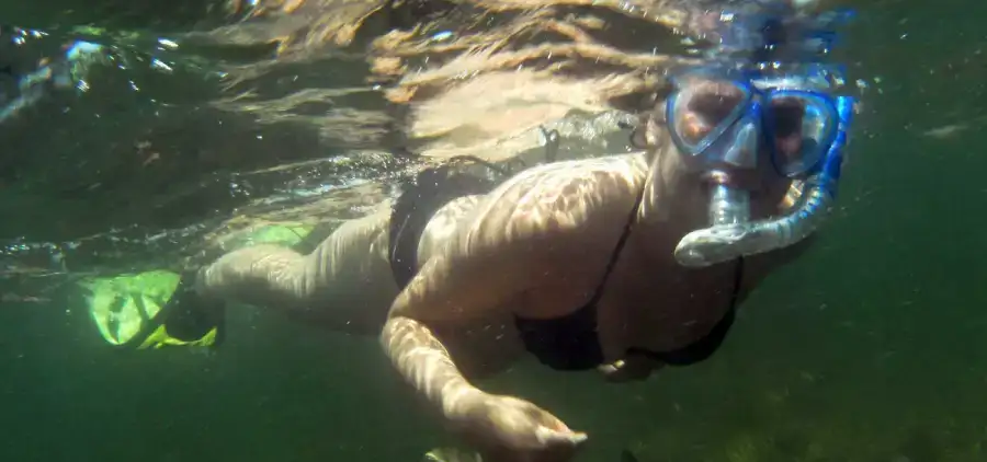 Snorkeler swimming with fish in the Laguna Madre