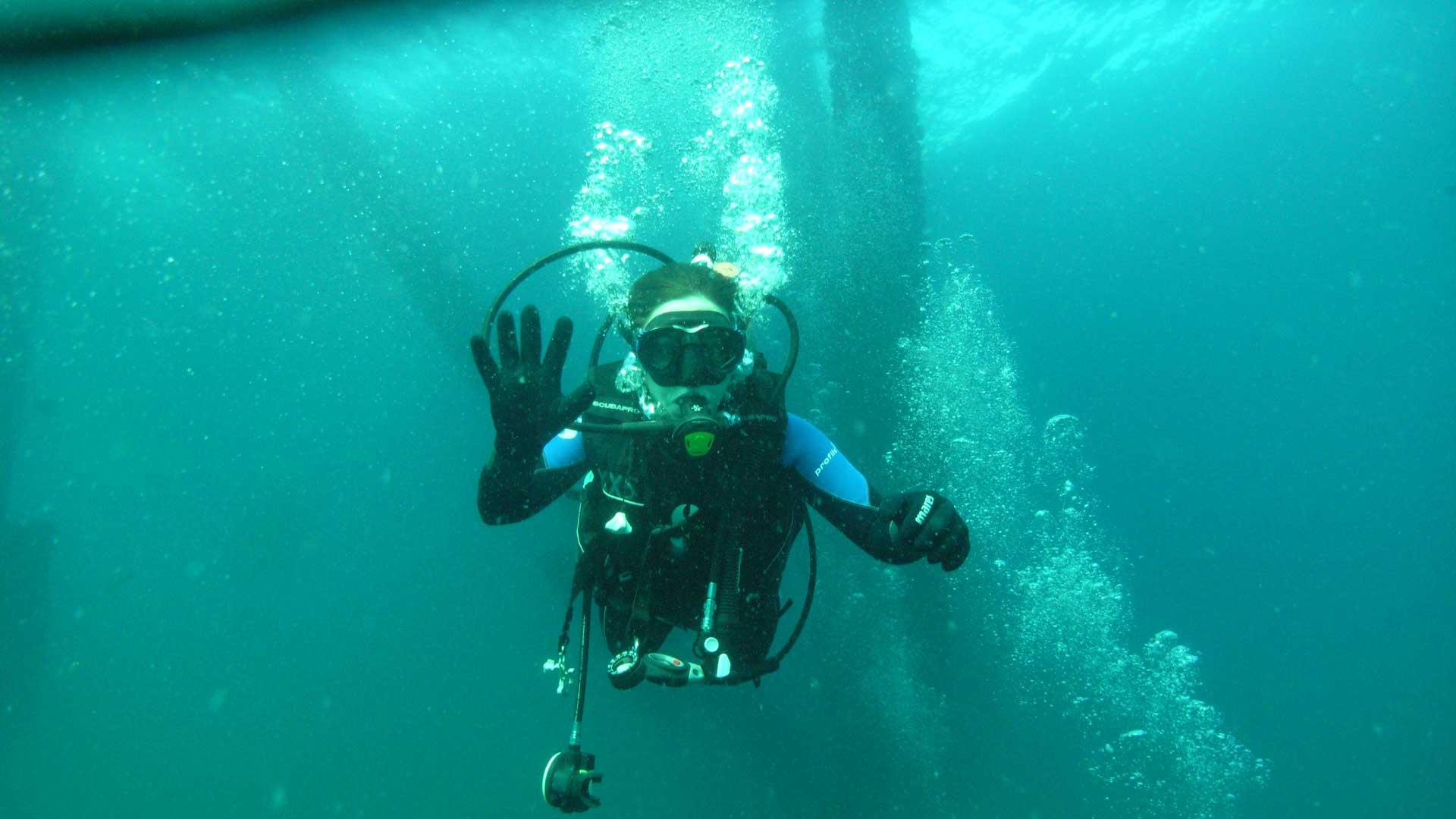 Contact American Diving