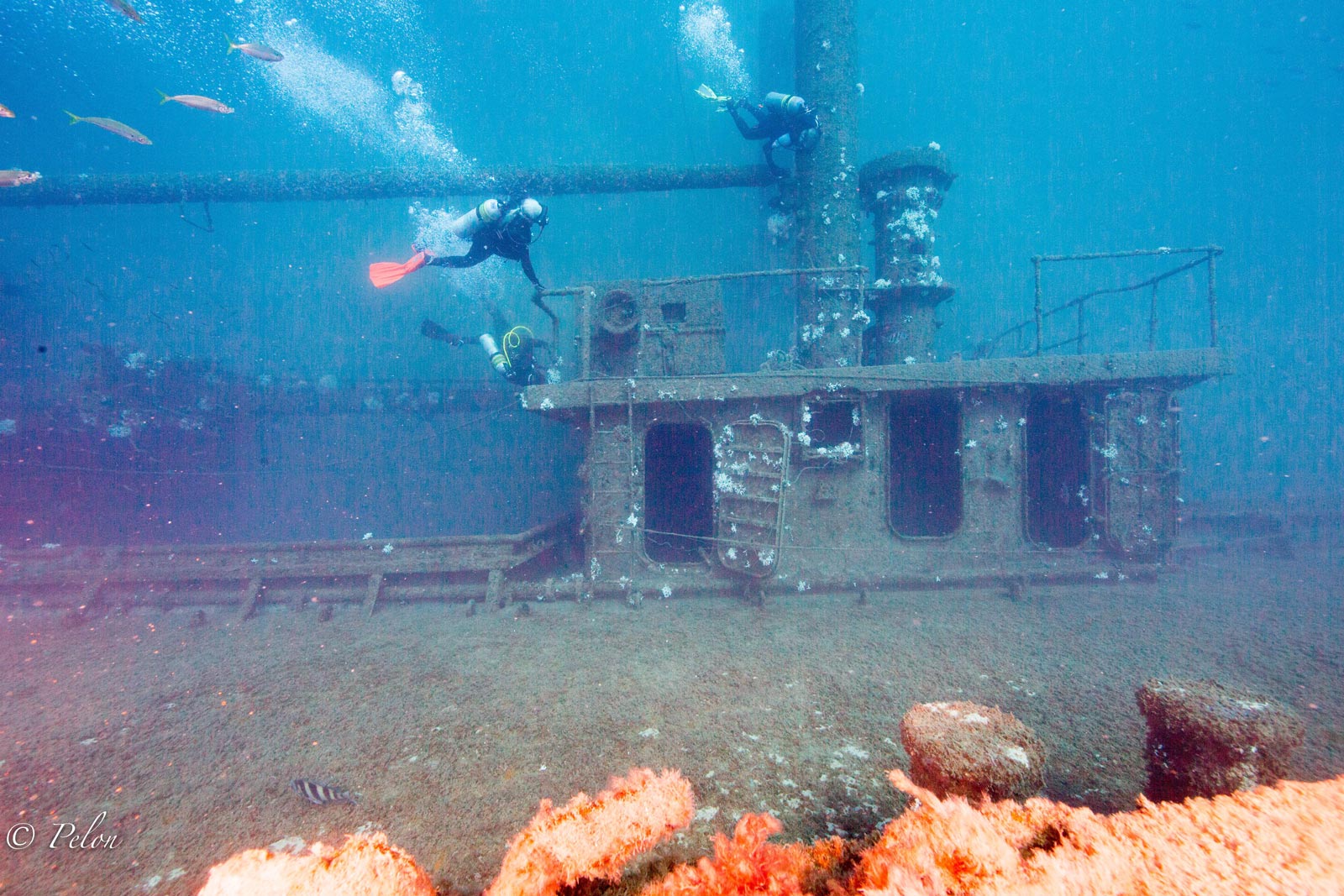 Spotlight on the Clipper - Ships-to-Reefs - Artificial Reef